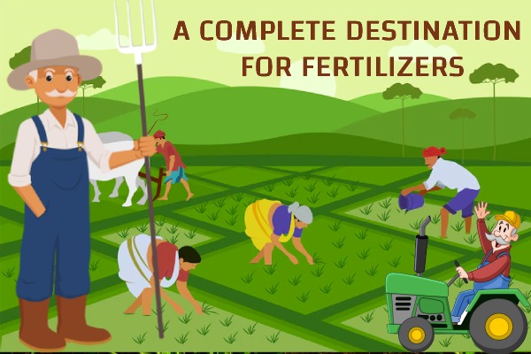fertilizer dealership